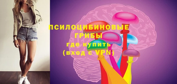гашик Нефтегорск