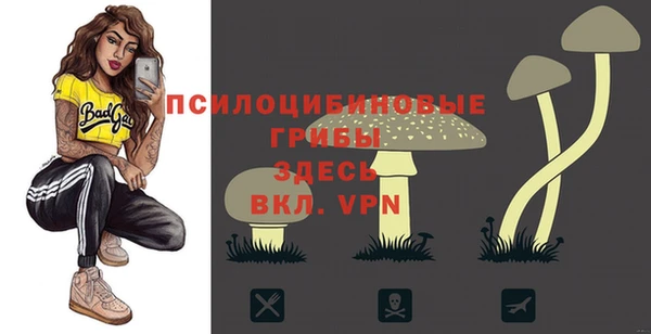 прущие грибы Нея