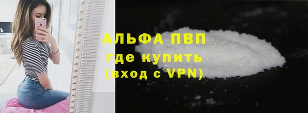 прущие грибы Нея