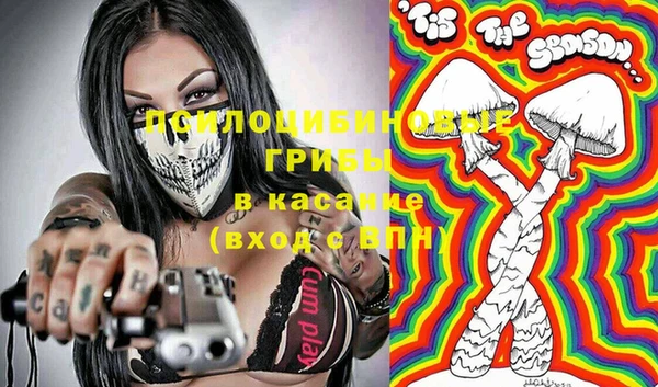 прущие грибы Нея