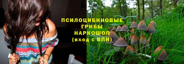 гашик Нефтегорск