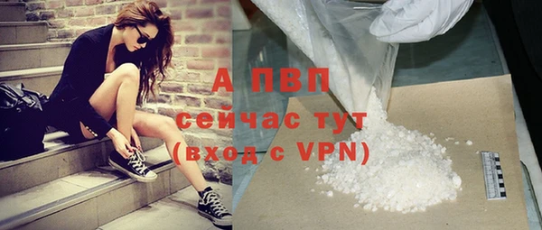 прущие грибы Нея