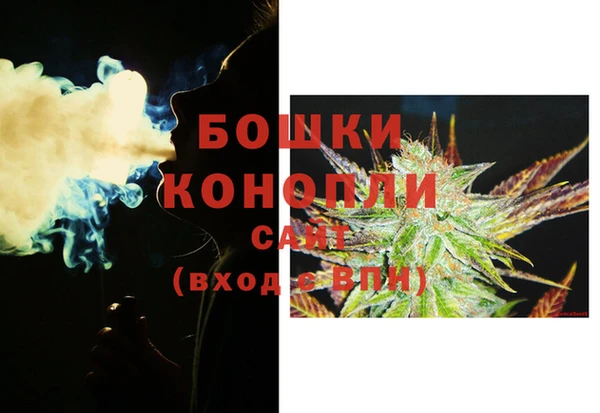 прущие грибы Нея