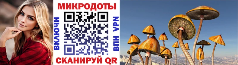 Псилоцибиновые грибы ЛСД  площадка официальный сайт  Юхнов  магазин продажи  